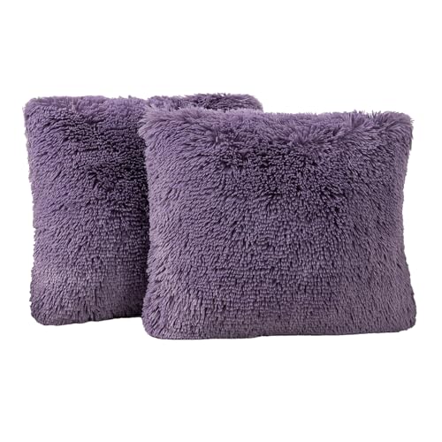 Patrican Purple