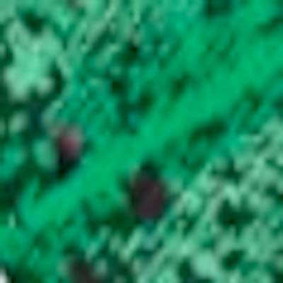 Green Shadow