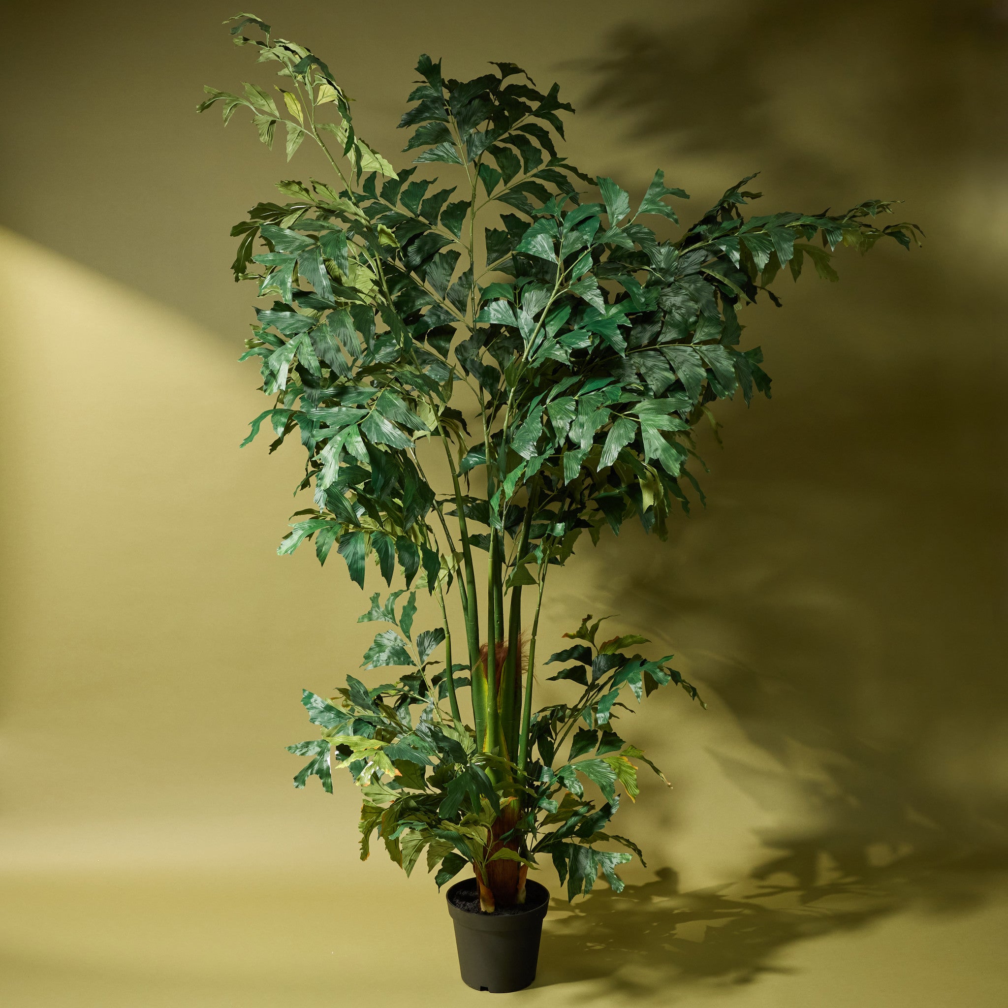 220cm Faux Caryota Palm Tree in Decorative Garden Pot - Perfect for Indoor & Outdoor Home Decor, Patio, Office, and Landscaping