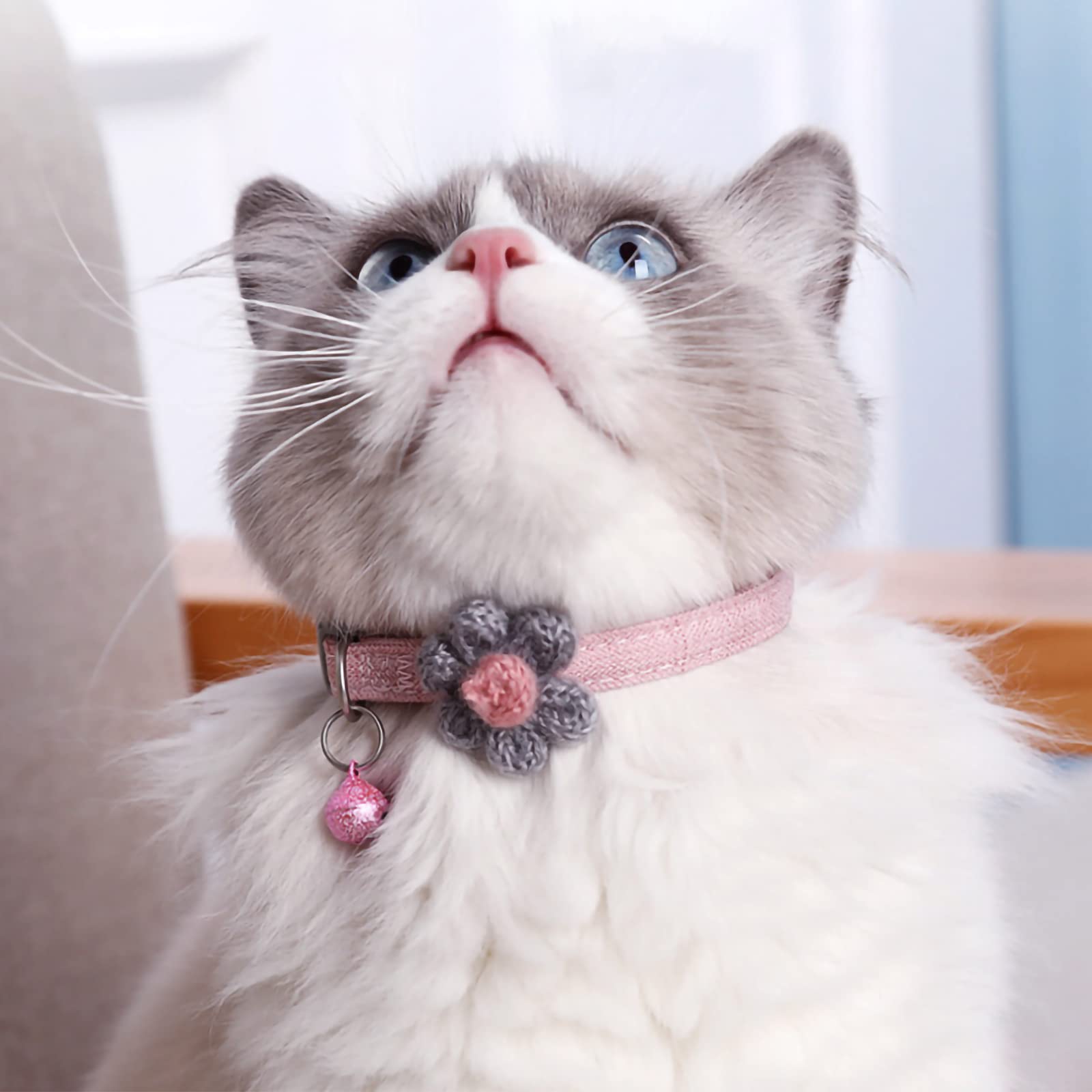 Handmade Adjustable Cat Collar with Six Petal Flowers & Bells - Sky Blue Kitten Collar for Girl Cats | Perfect for Daily Wear, Special Occasions & Photo Shoots