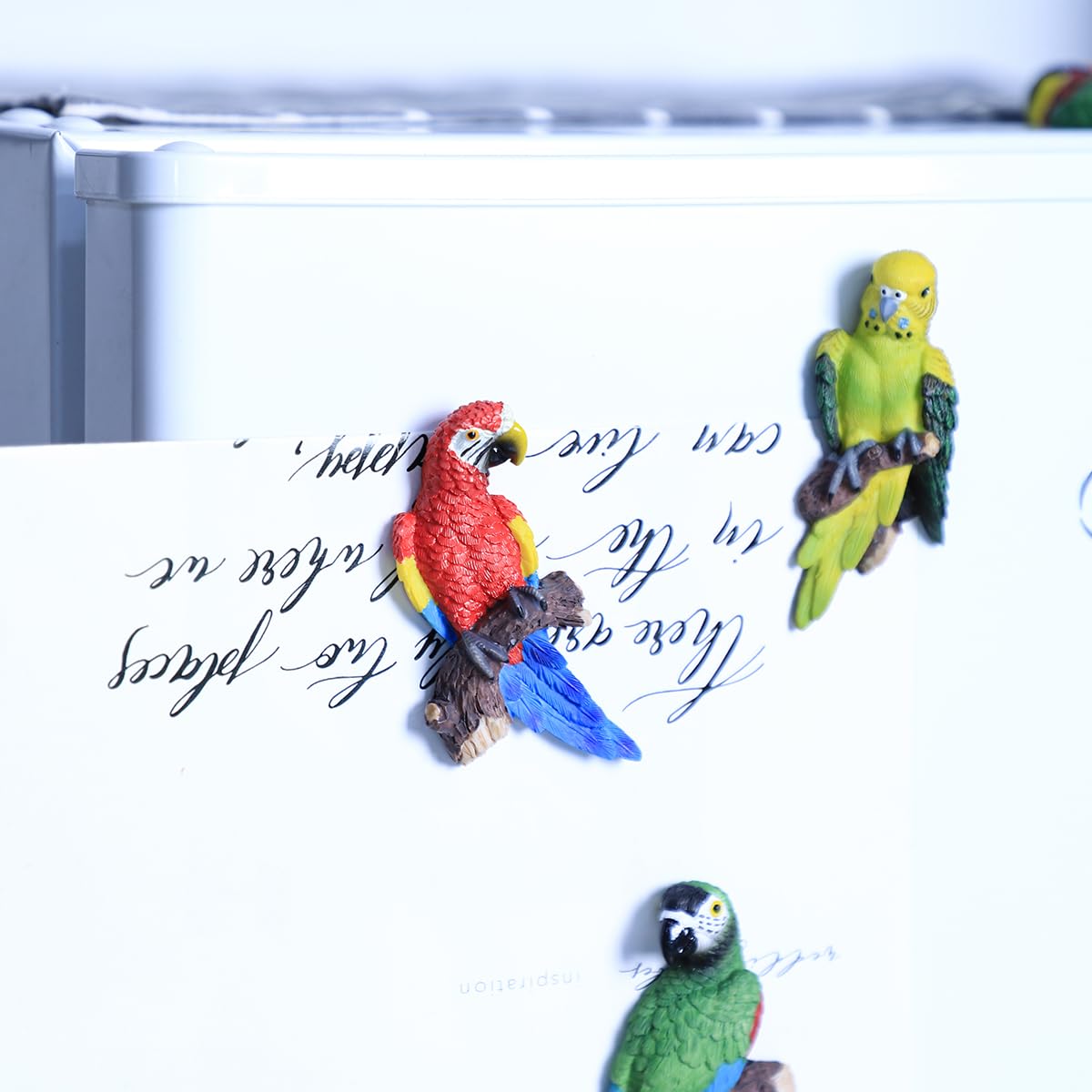 5 PCS Parrot Fridge Magnets - Strong Refrigerator Magnets for Kitchen, Office Lockers, Whiteboards & Classroom Decor - Fun Animal Magnets for Kids & Adults