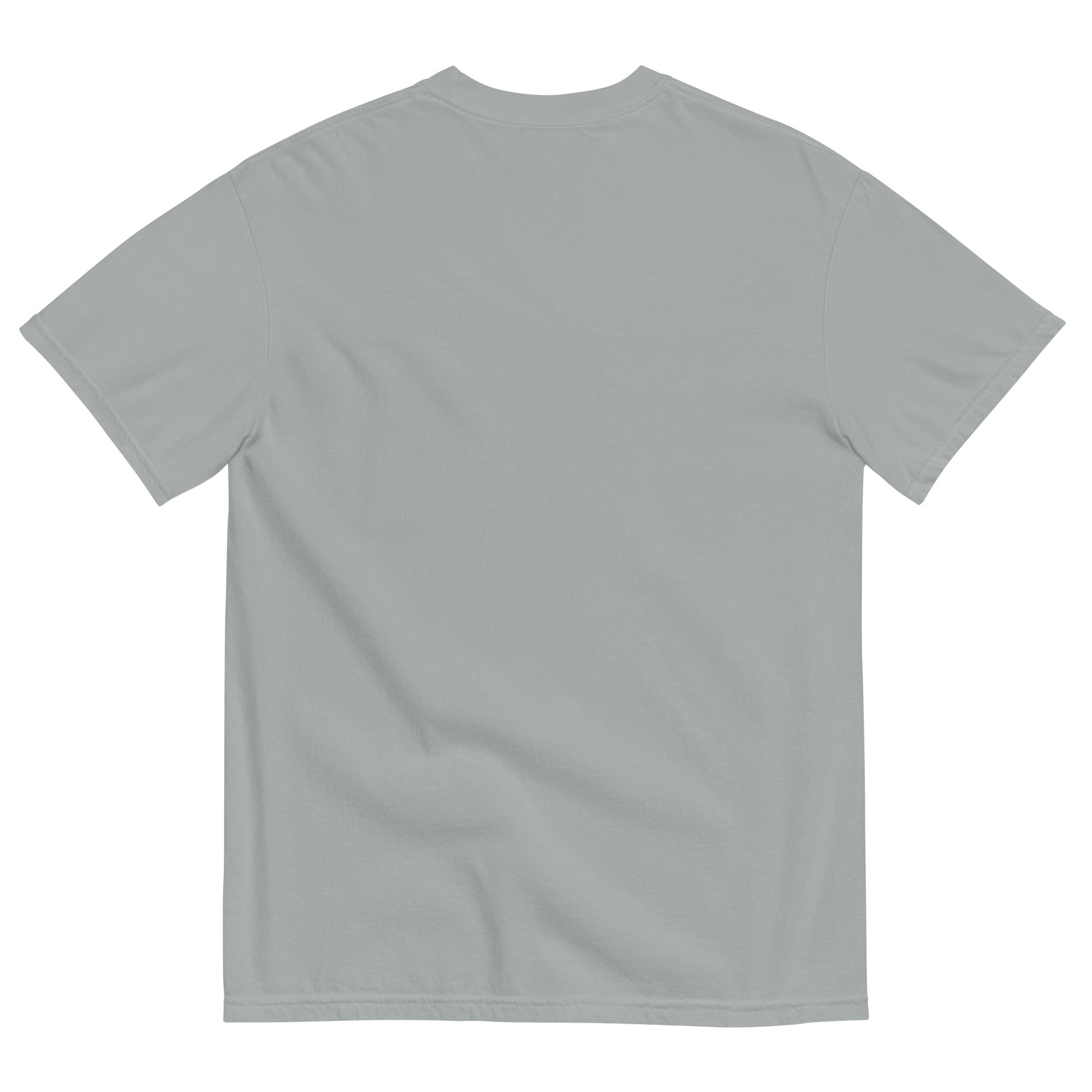 Gainesville Spartans RFC Garment Dyed Cotton T-Shirt | Vintage Rugby Style Tee for Men | Perfect for Game Day & Casual Wear