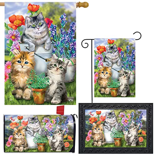 Garden Cats