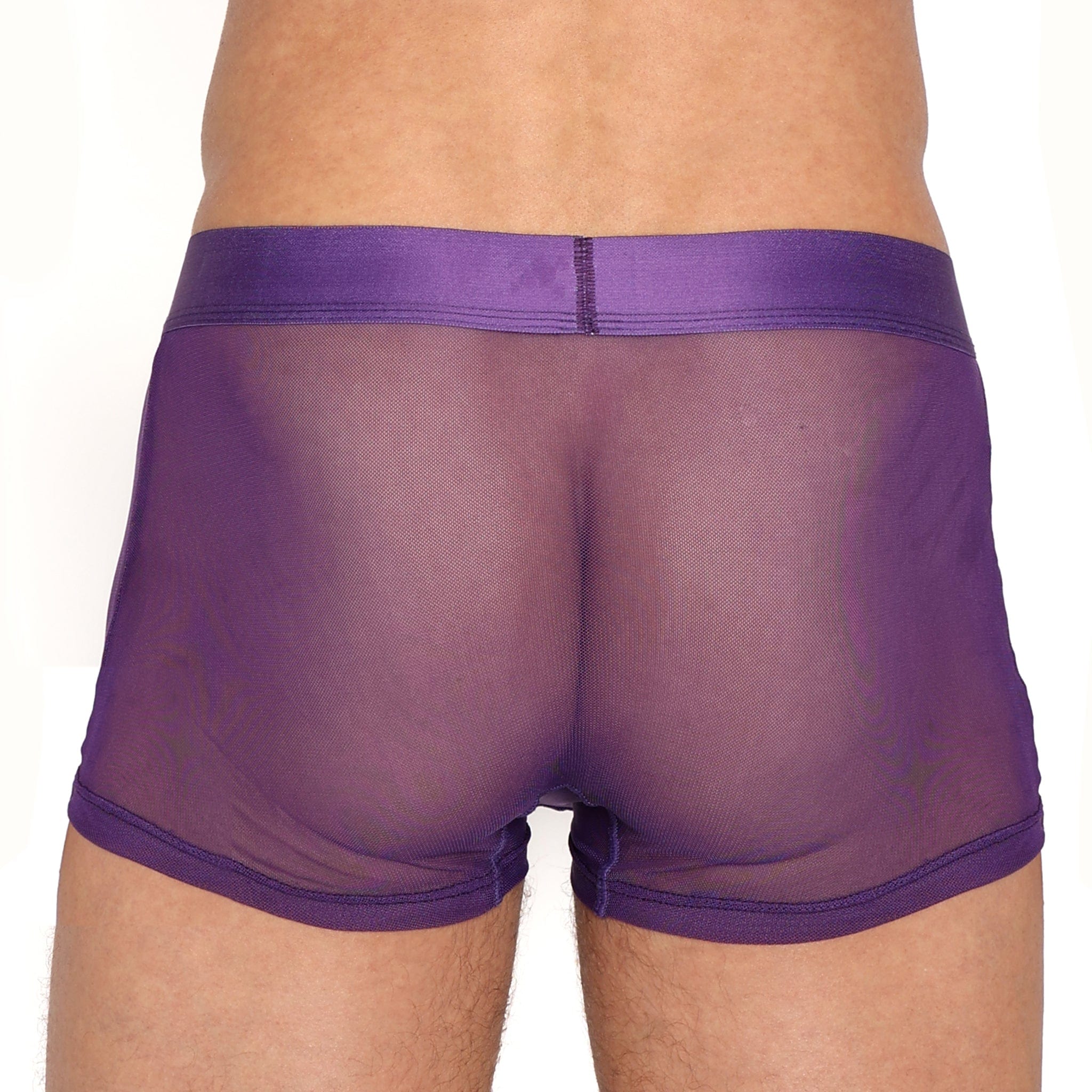 Just The Bones Sheer Trunk Purple - Comfortable & Stylish Women's Underwear for Everyday Wear, Sleep & Lounge
