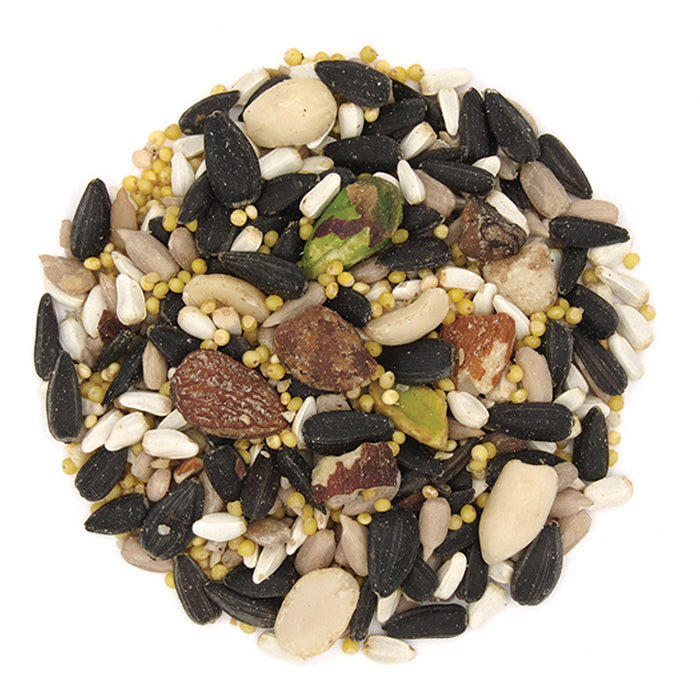 Duncraft All Season Blend Wild Bird Seed - Premium 5 lb Bag for Year-Round Feeding | Attracts Cardinals, Finches & Songbirds | Perfect for Backyard Feeders & Bird Watching