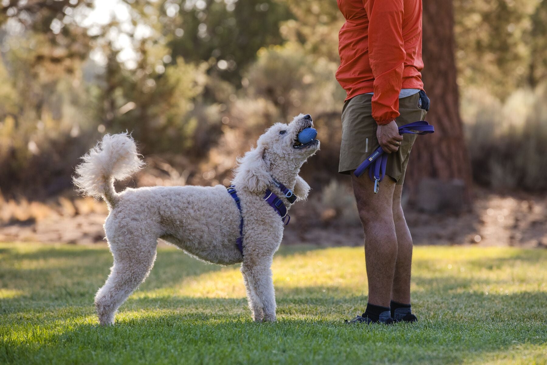 Ruffwear® Turnup® Fetch Ball for Dogs - Campfire Orange Durable Chew Toy for Outdoor Play, Training & Water Fun