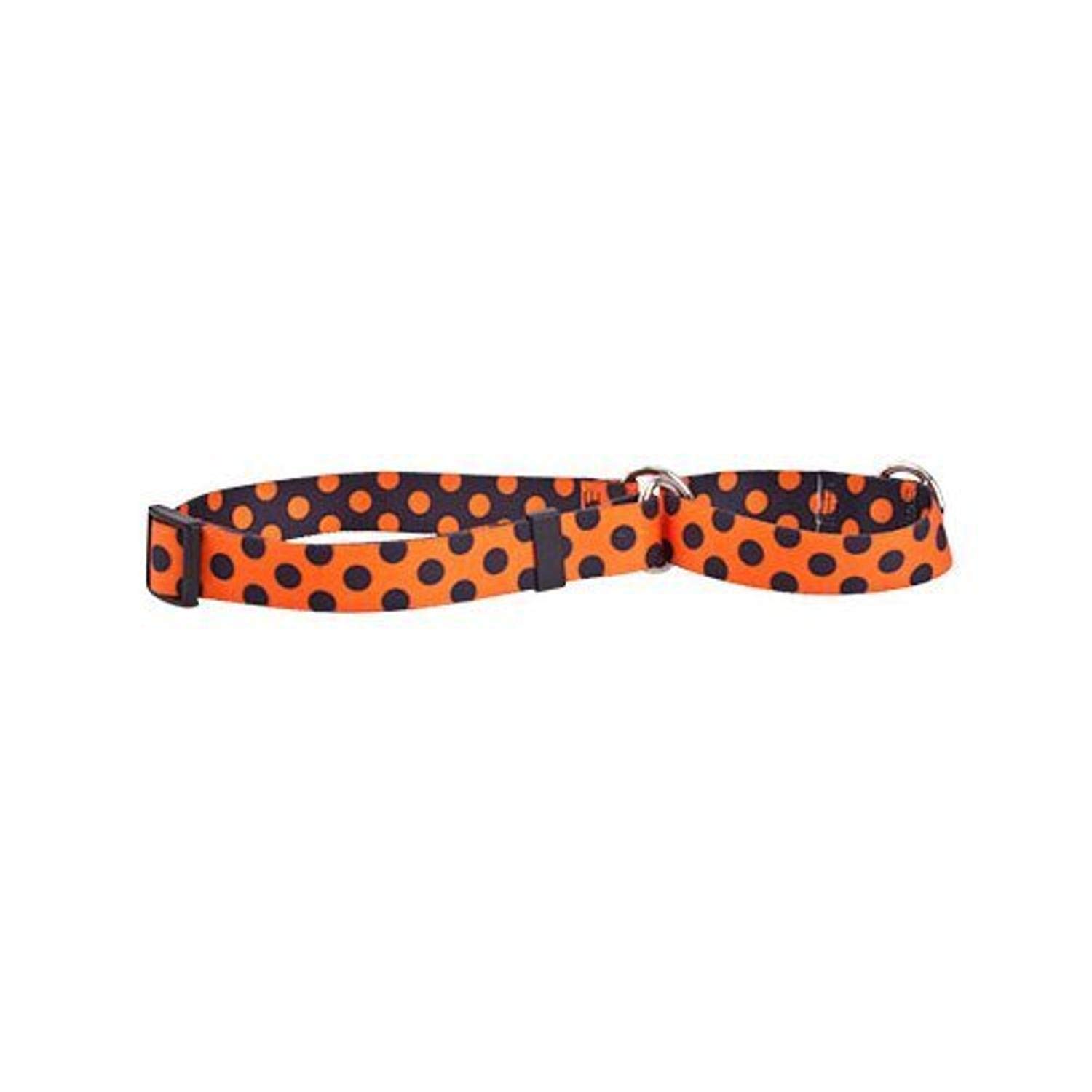 Halloween Polka Dot Martingale Dog Collar for Small Dogs - Adjustable Control Collar 10