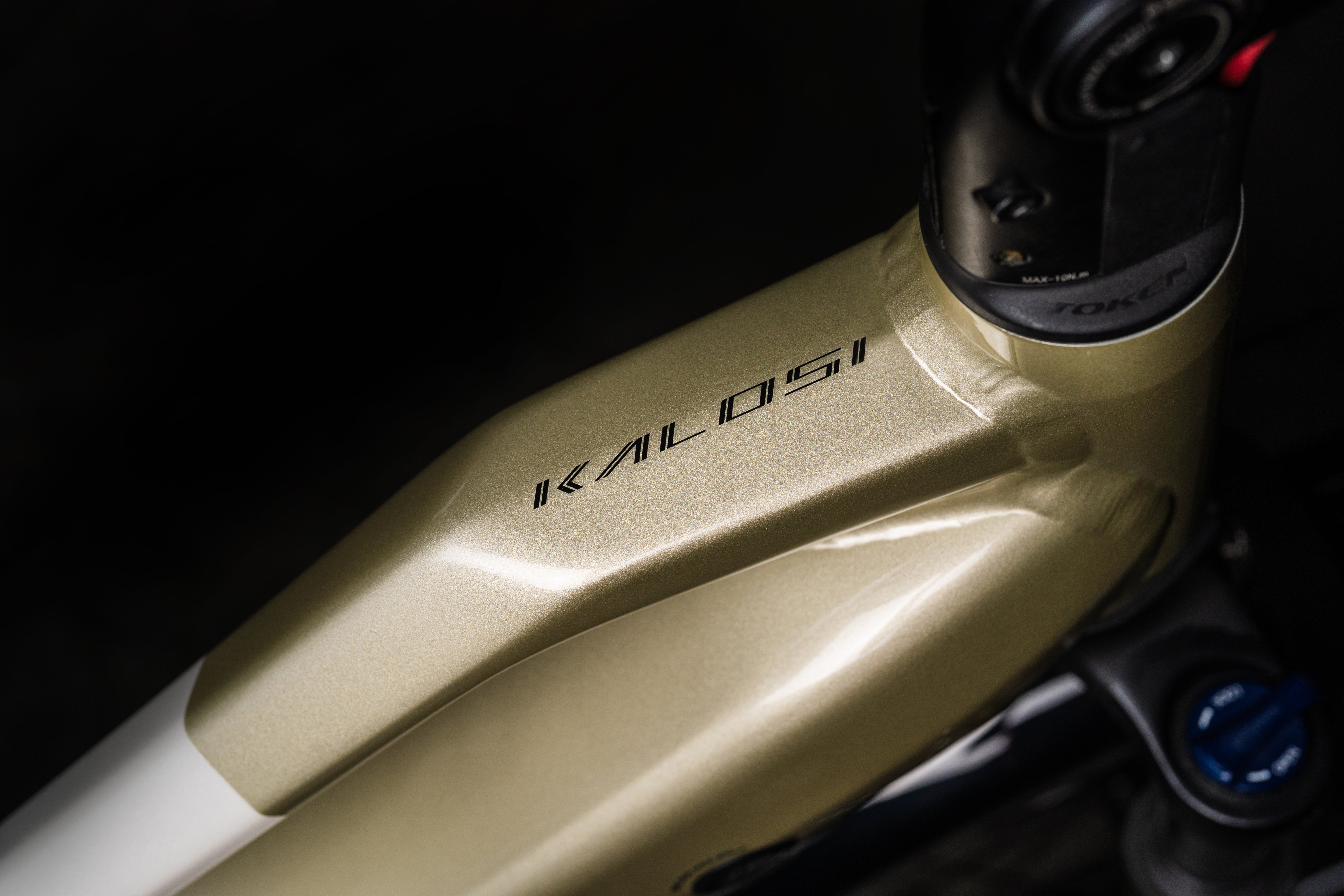Polygon Kalosi Lanes Prime Bosch Urban Electric Bike - Commuter E-Bike with 500W Motor & 28mph Speed - Perfect for City Riding & Daily Commutes