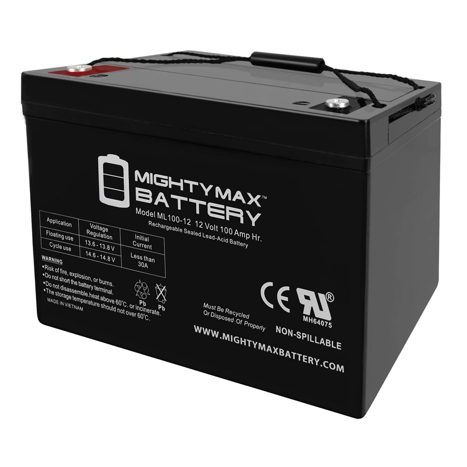 Mighty Max 12V 100Ah SLA Replacement Battery for C&D Dynasty LS12-100 - Deep Cycle Power for Solar, RV, Marine & Backup Systems
