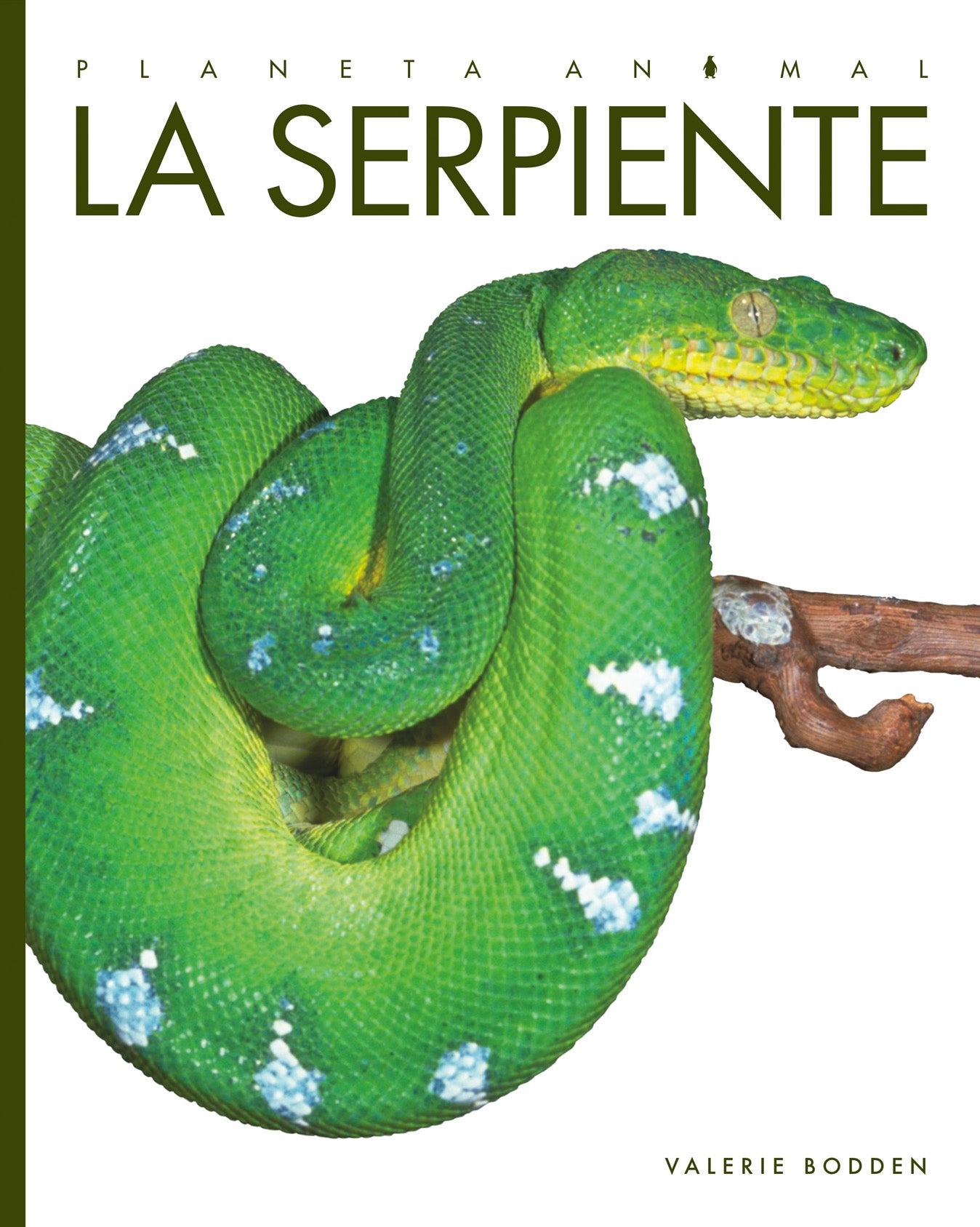 La Serpiente 9781640262676 - Snake Book for Kids in Spanish, Educational Wildlife Reading for Children - Perfect for Classroom Learning & Homeschooling