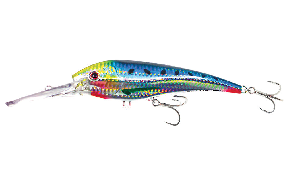 Sardine