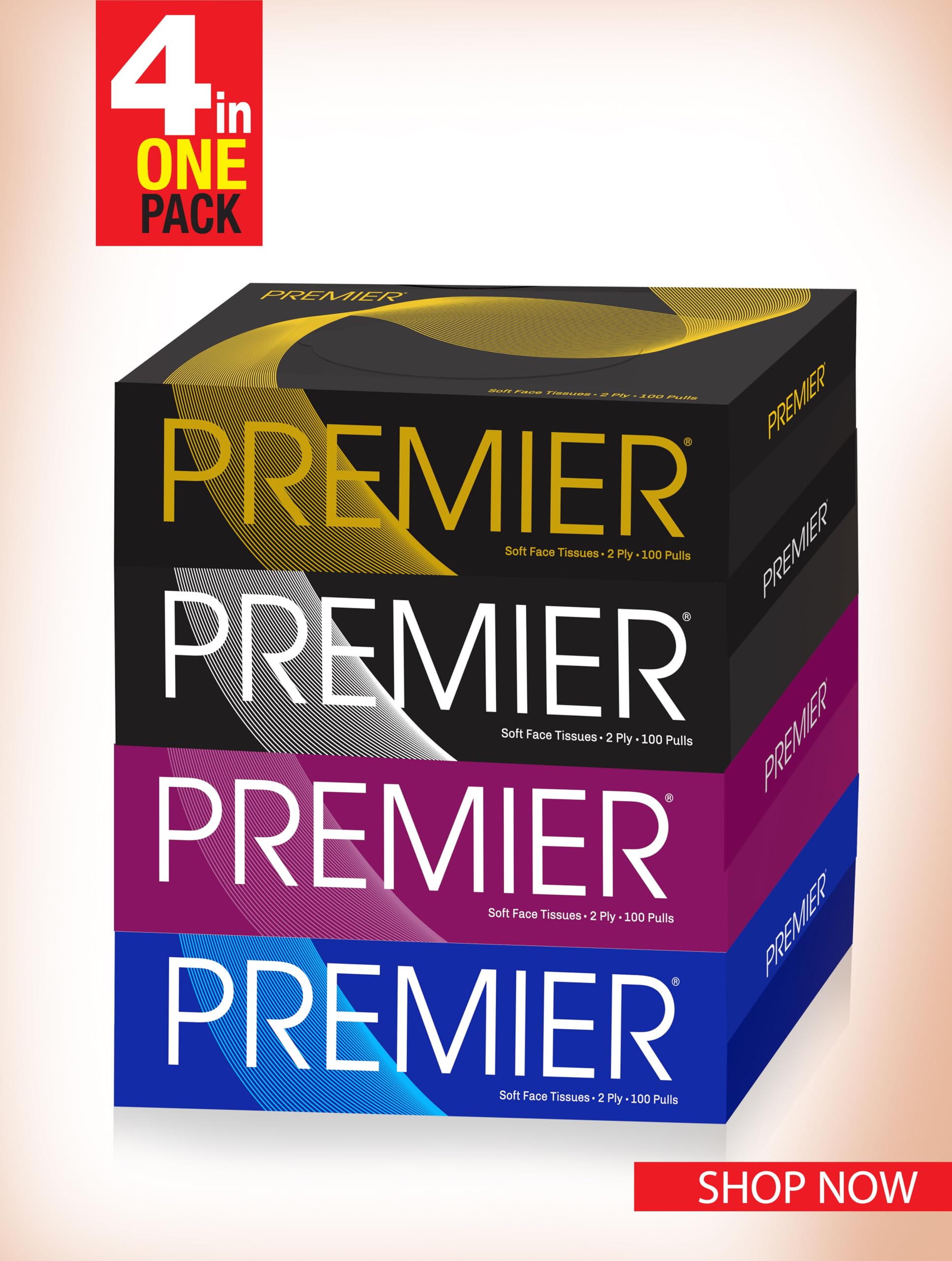 Premium 2-Ply Facial Tissues Box - 100 Pulls per Box (4-Pack, 400 Pulls Total) | Soft & Strong for Home, Office & Travel Use | Gentle on Skin | Bulk Tissue Paper Supply