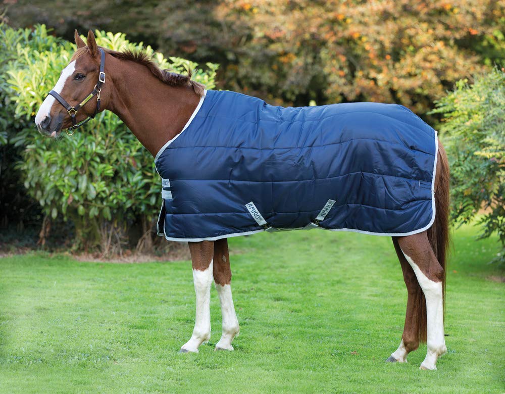 Horseware Ireland Amigo Insulator Medium 200g - Lightweight Horse Blanket for Cold Weather Riding & Stable Use