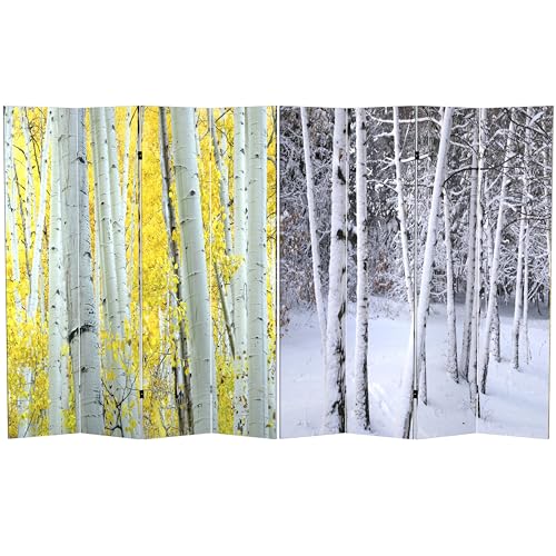 Birch Trees