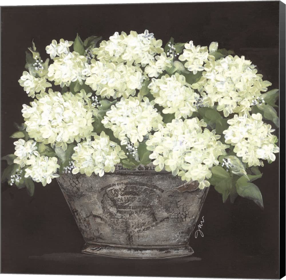 Snowball Hydrangea Canvas Wall Art by Julie Norkus - 12x12 Inch Museum Wrapped Painting with Black Sides - Perfect for Living Room, Bedroom & Office Decor