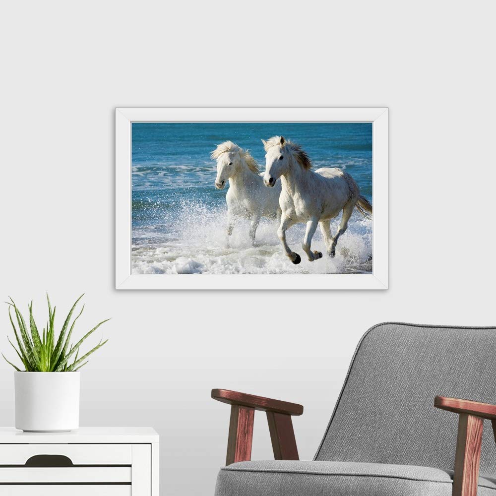 Camargue Horses Running on Beach - White Framed Wall Art Print - Elegant Horse Painting Decor for Living Room, Bedroom & Office