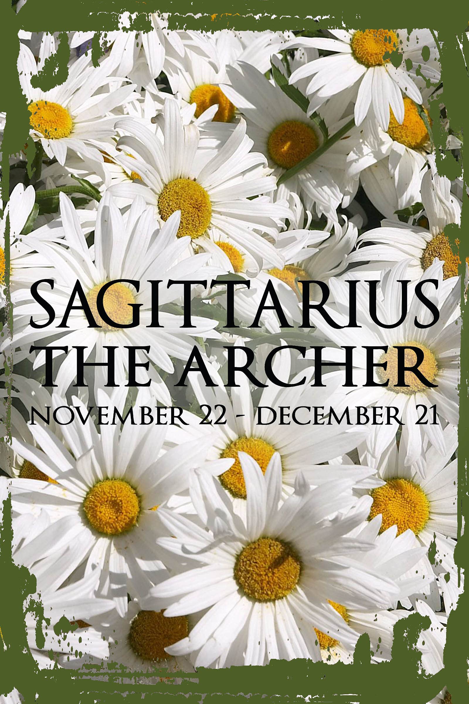 Sagittarius Zodiac Wall Art - Daisy Flower Decor for Nov 22-Dec 21 Birthday Gifts, 8x12 Inch Astrology Sign Hanging Wall Sign - Perfect for Home, Office & Funny Gift Giving