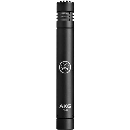 AKG P170 Professional Studio Condenser Microphone with Stand Adapter - Perfect for Podcasting, Voice Overs & Home Recording (1-Year Warranty Included)