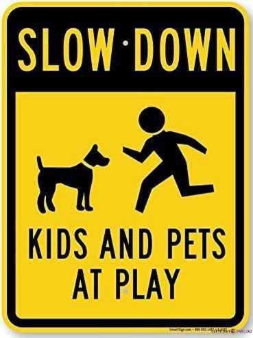 Slow Down Kids & Pets At Play - High Visibility 8x12 Inch Aluminum Road Sign for Indoor & Outdoor Use - Durable Garage, Street, Yard Warning Sign - Perfect for Neighborhood Safety & Play Area Awareness