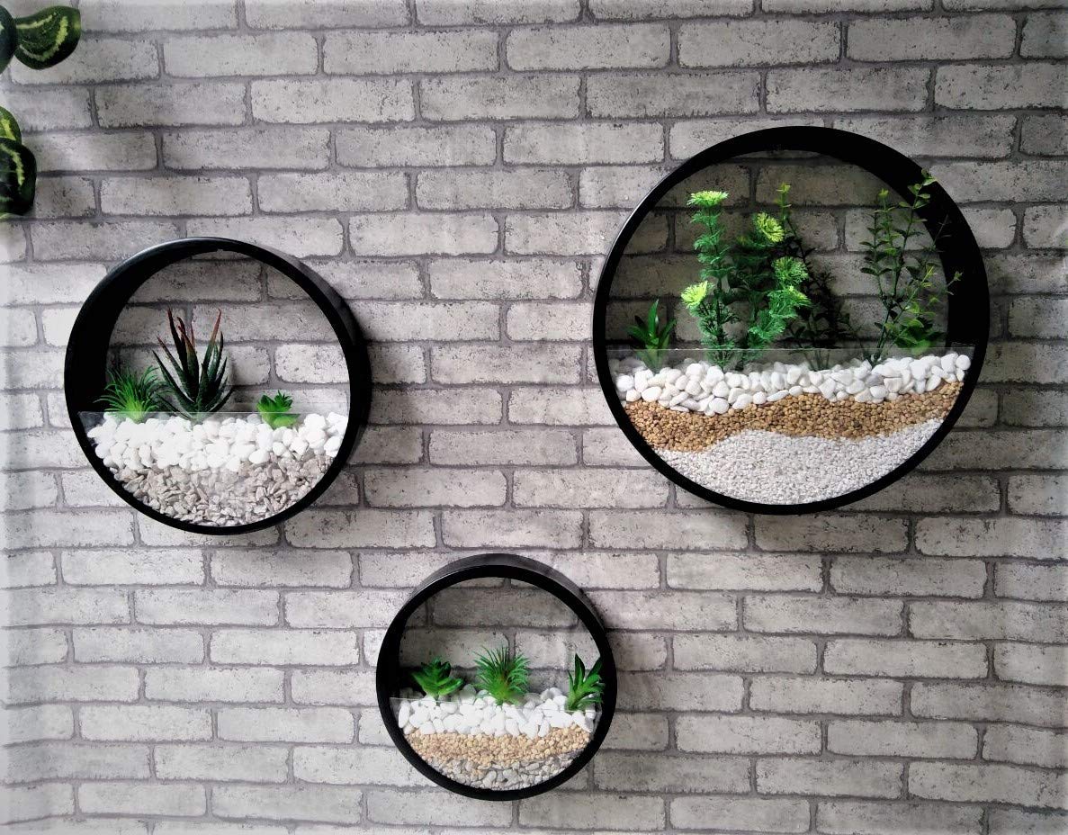 Ecosides 6