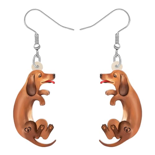 Dachshund C