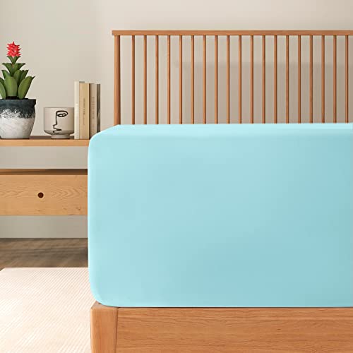 Auqa Blue