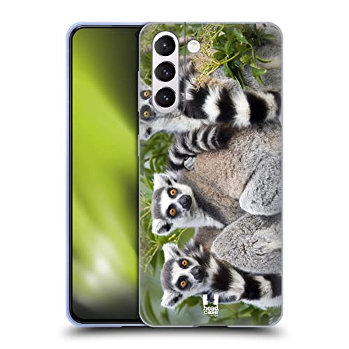 Ring Tailed Lemur