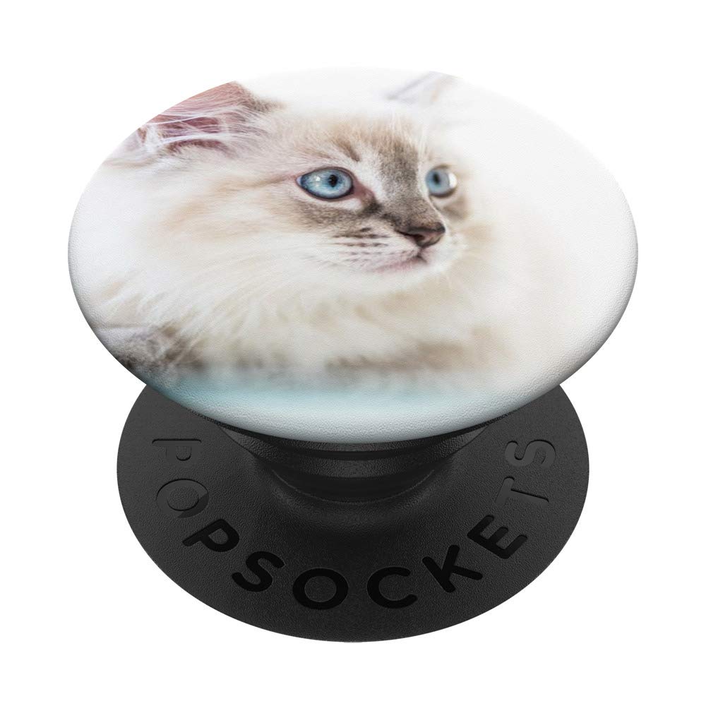 Ragdoll Cat PopSocket: Swappable Phone Grip for Secure Hold & Stylish Design - Perfect for Phones, Tablets, and Everyday Use