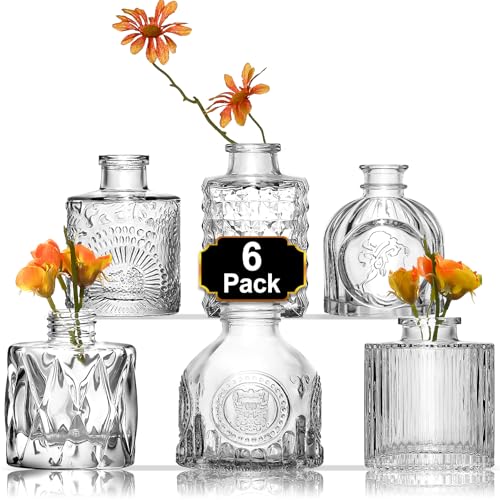 Clear-6pcs