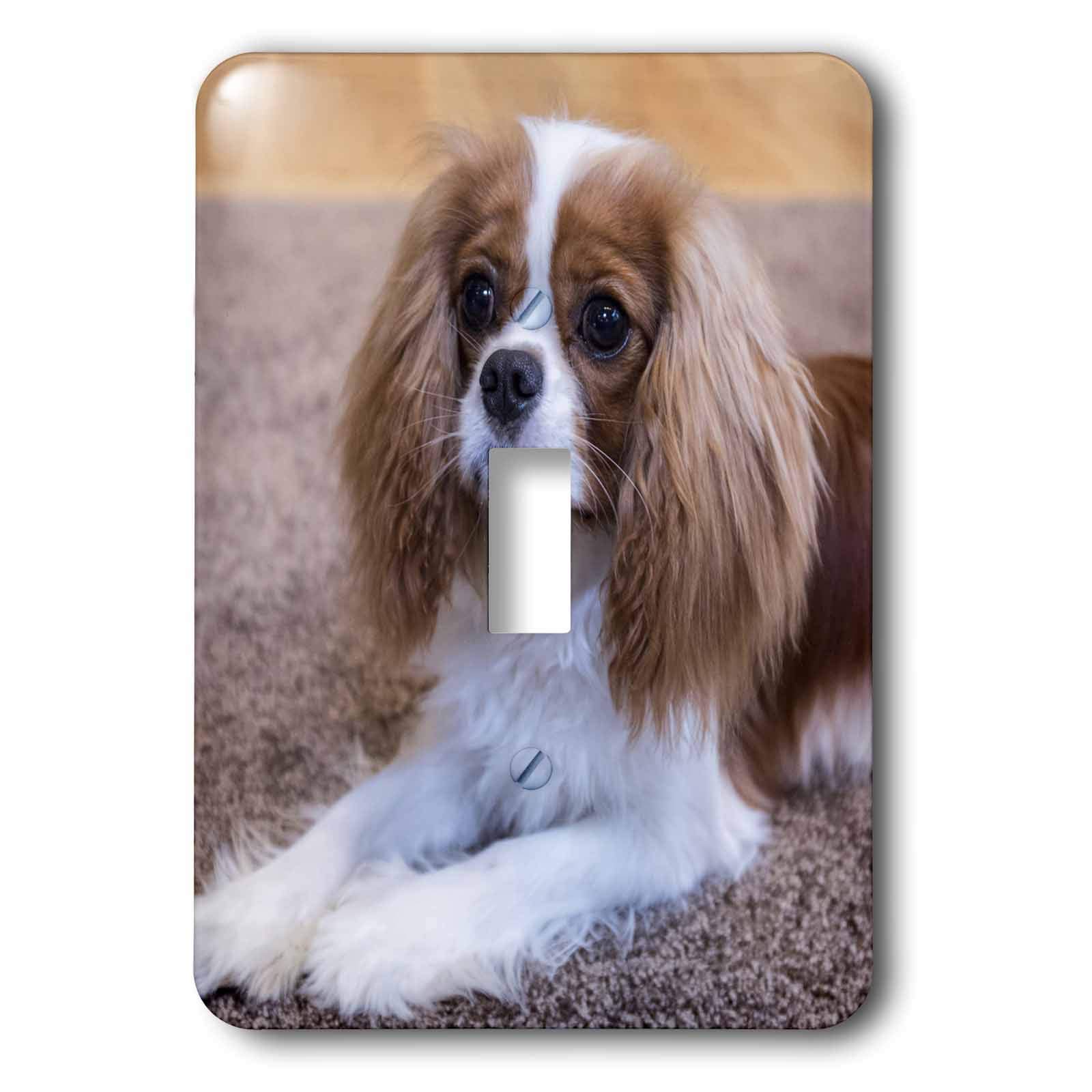 3D Rose Cavalier King Charles Spaniel Puppy Light Switch Cover - Decorative Wall Plate for Home Decor, Bedroom, Living Room, Nursery | Cute Dog Design for Pet Lovers