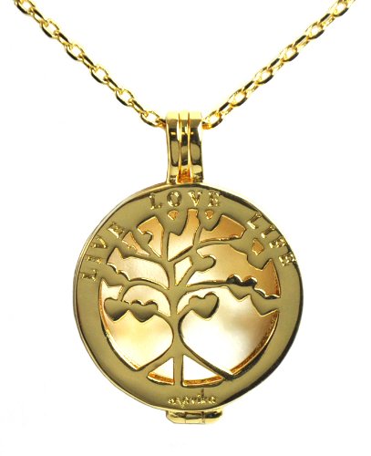 Navika Gold Live Love Life Necklace with Glitzy Canada Charm - Elegant Dainty Jewelry for Women, Perfect for Valentine's Day Gifts, Anniversary Presents & Everyday Wear