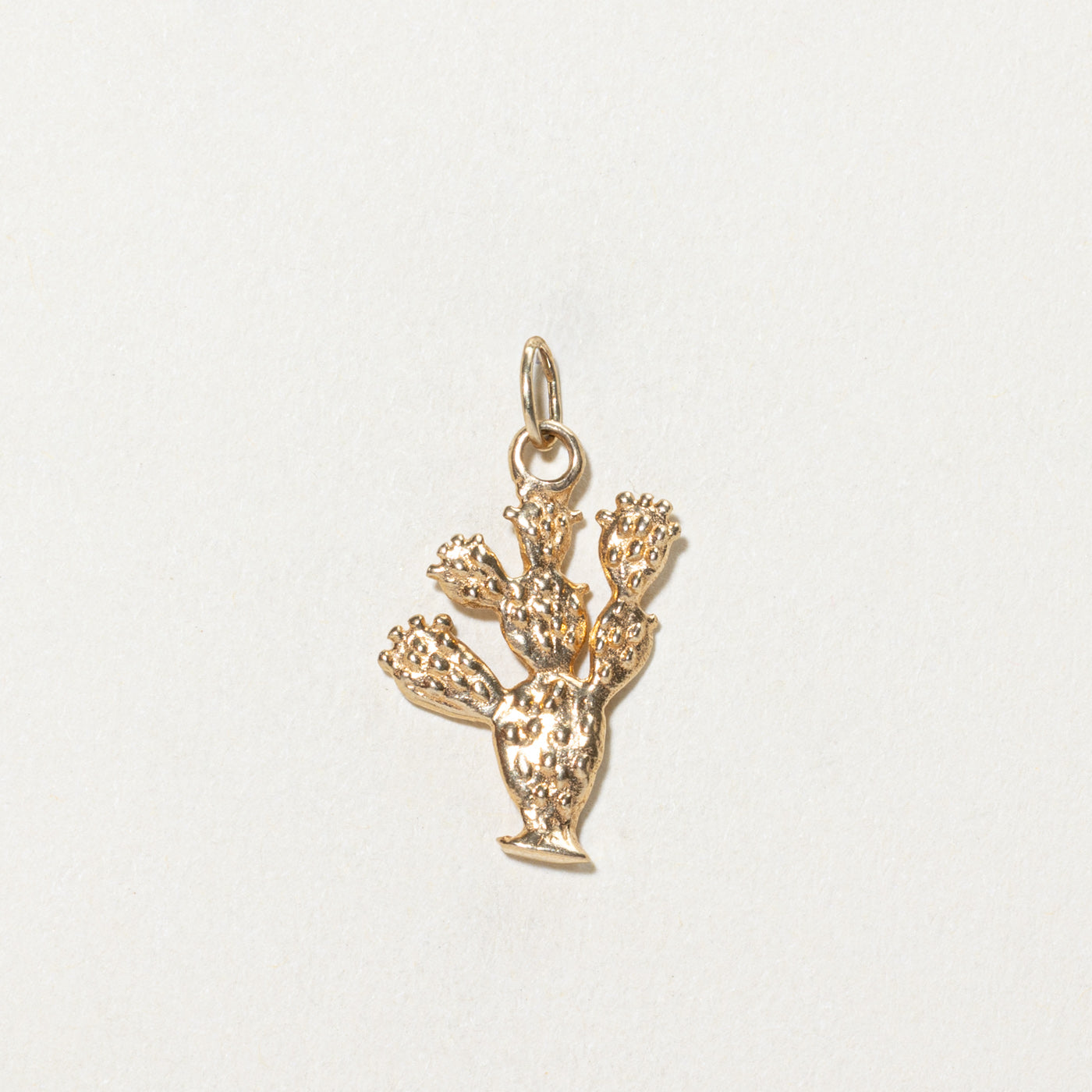 14K Yellow Gold Cactus Charm Pendant Necklace - Dainty Desert Jewelry for Women - Perfect for Boho Fashion, Western Style & Everyday Wear