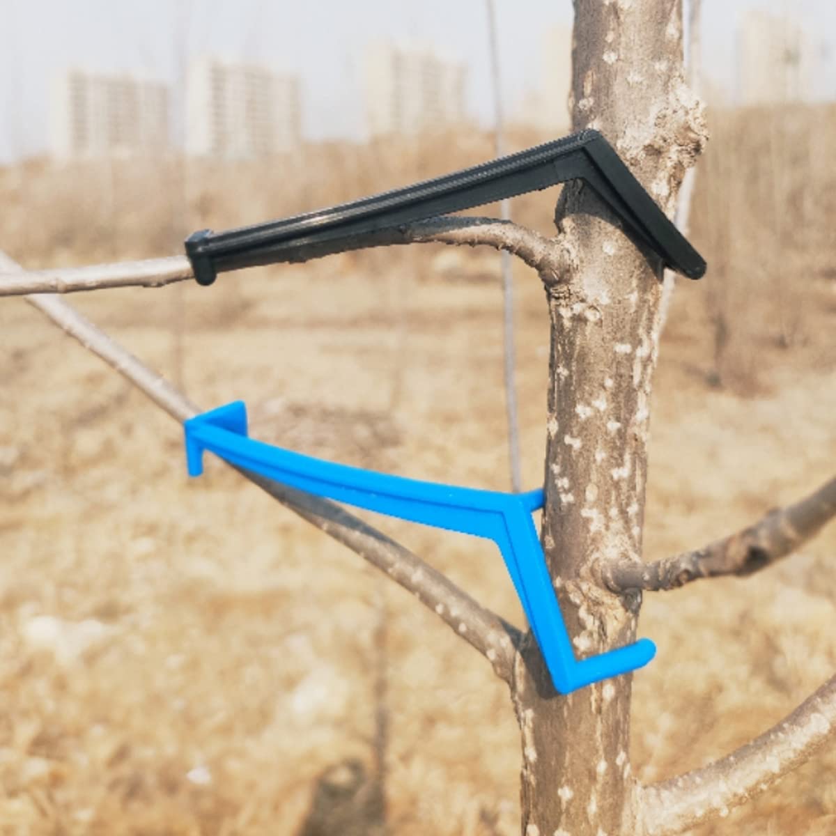 30Pcs Blue & Black Fruit Tree Limb Spreaders - Cunguv Tree Branch Spreader for Apple, Pear & Most Fruit Trees | Improve Growth & Fruit Yield | Perfect for Home Orchards & Gardening