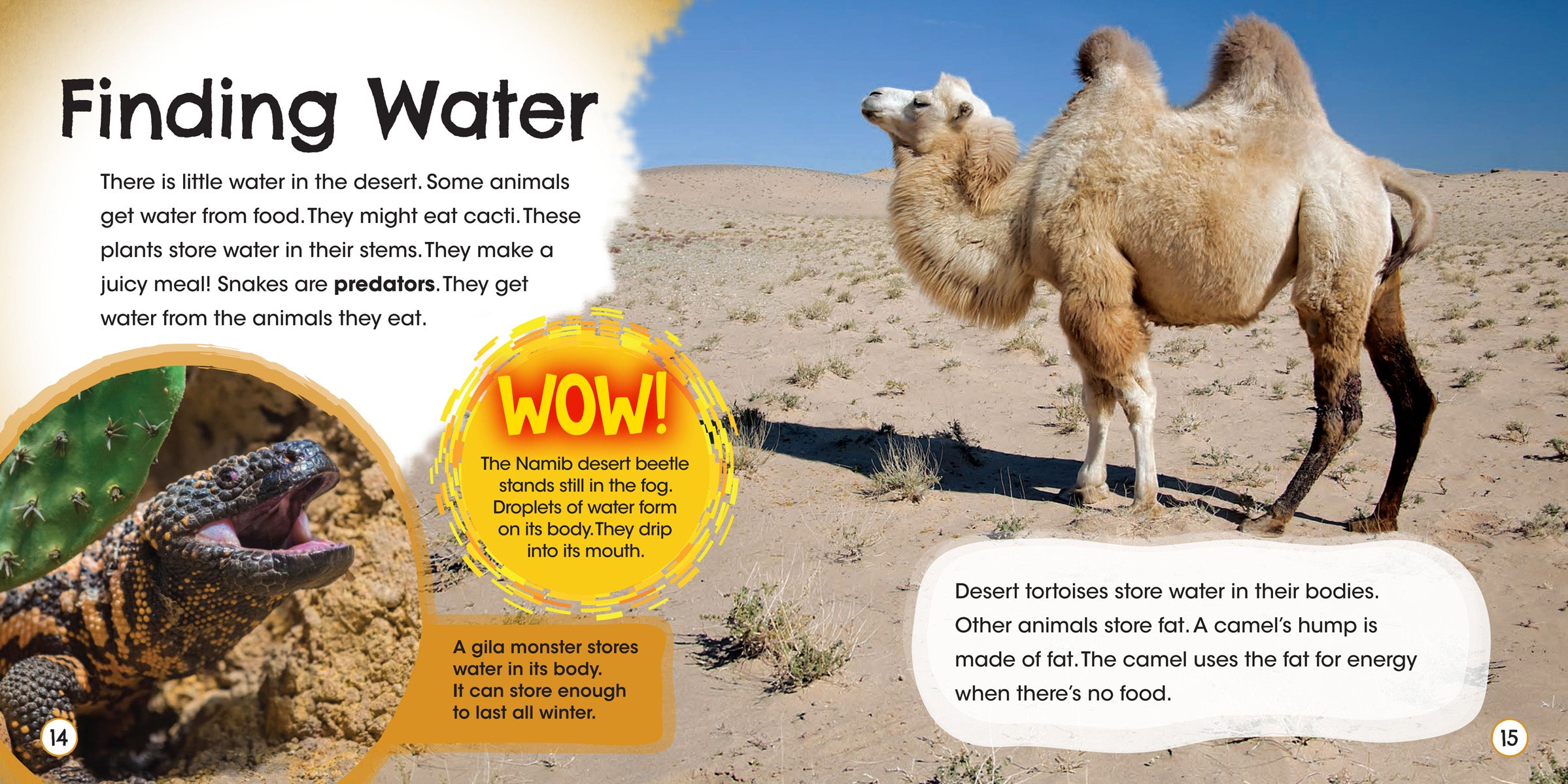 A Desert a Day In - Premium Travel Mug for Coffee & Tea | Perfect for Office, Commute & Outdoor Adventures