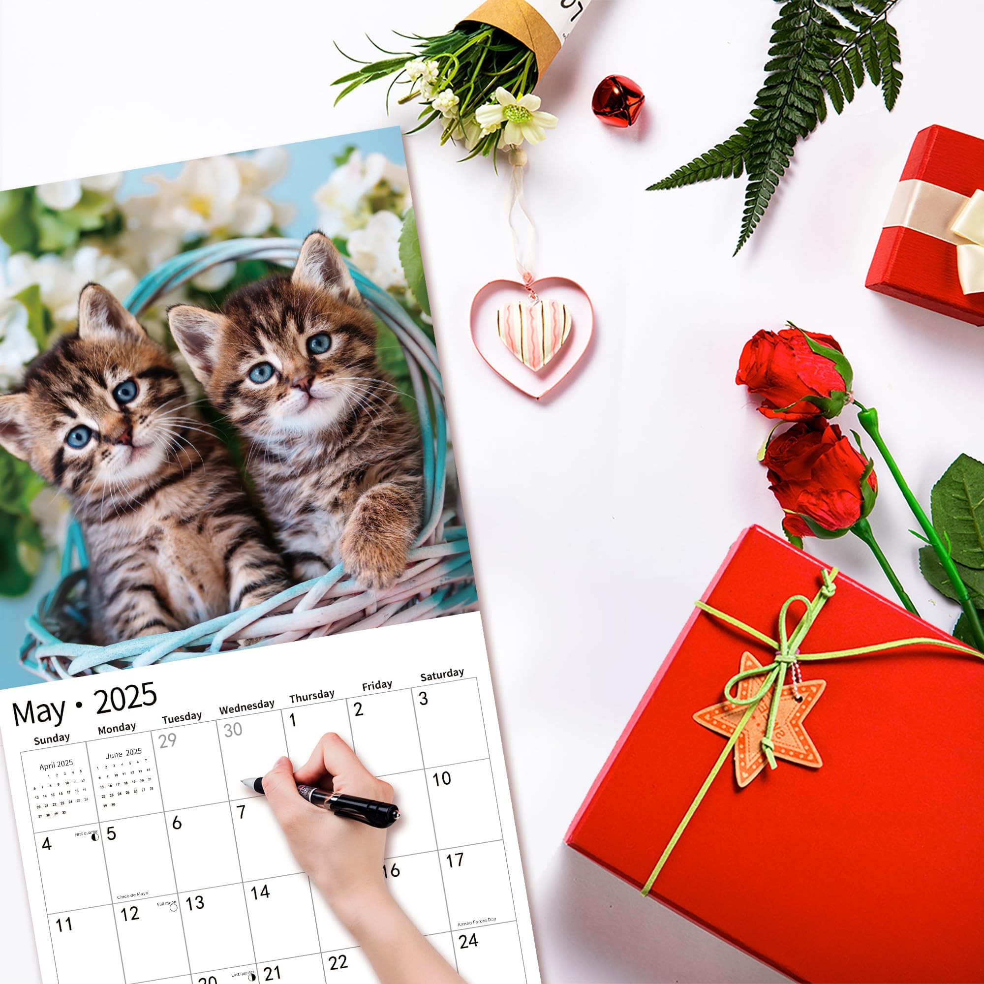 2025 Wall Calendar with Cute Cats & Kittens - January to December 2025, 12