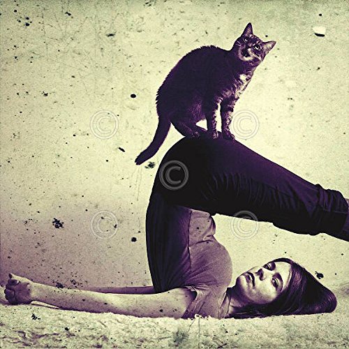 Halasana Gosia Janik Yoga Woman with Cat Art Print - 12x12 Inches Framed Wall Decor | Black & White Zen Home Decor for Yoga & Cat Lovers | Perfect Gift for Meditation Spaces, Living Rooms & Offices | Ideal for Yoga Studios, Cat-Themed Interiors & Mindful Home Decor | Use in Meditation Corners, Serene Bedrooms & Creative Workspaces | Great for Yoga Studios, Cat Lovers' Homes & Mindful Living Spaces