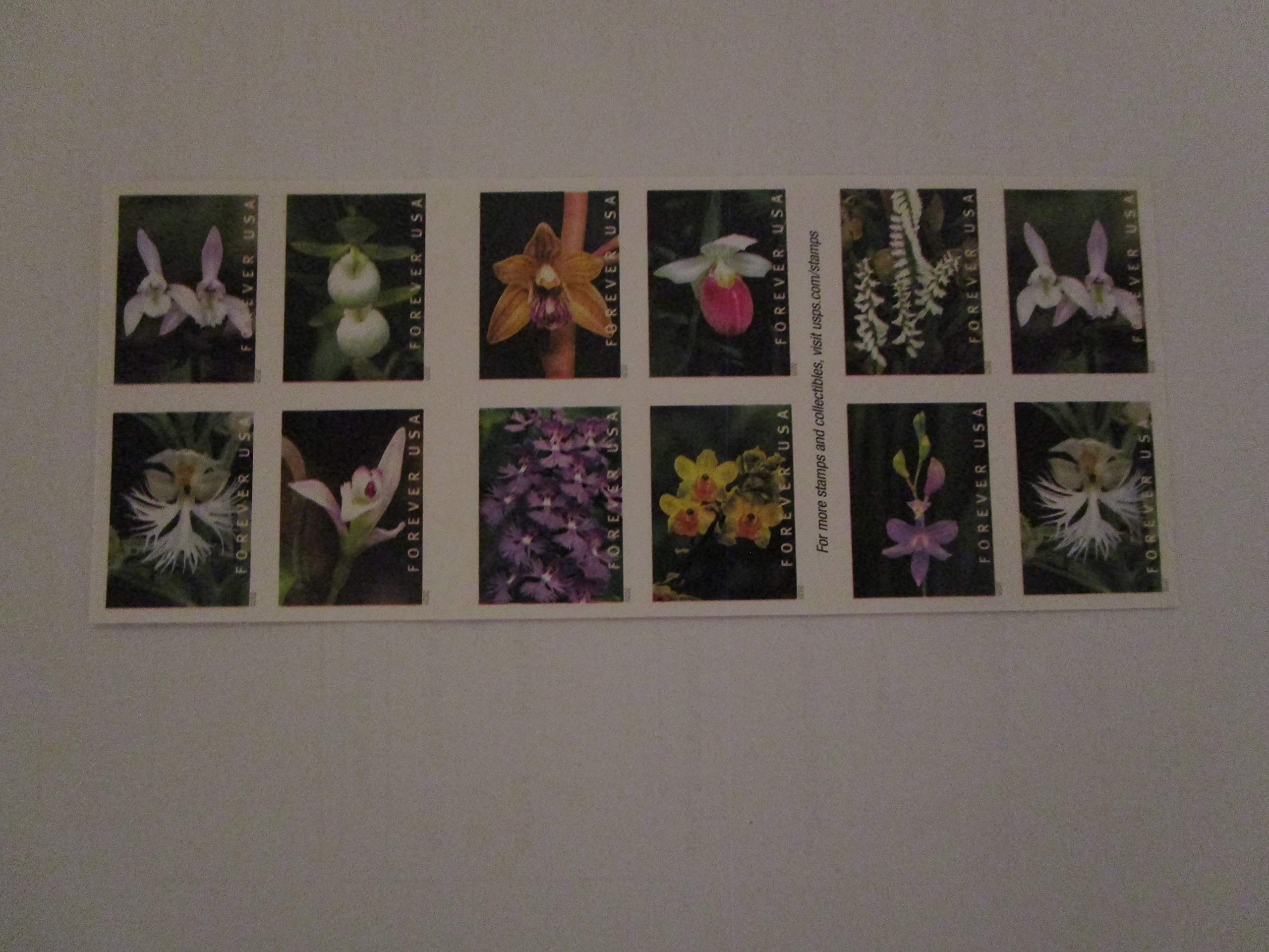 Wild Orchids Stamp Booklet - Forever Stamps Scott 5444 | USPS Collectible Postage for Mailing, Scrapbooking & Philately