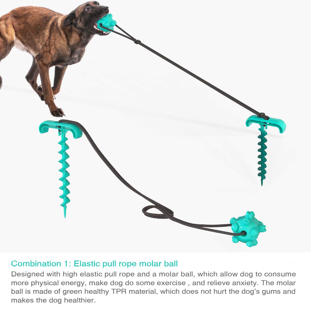 **Heavy Duty Dog Tie Out Cable & Stake - 10.19
