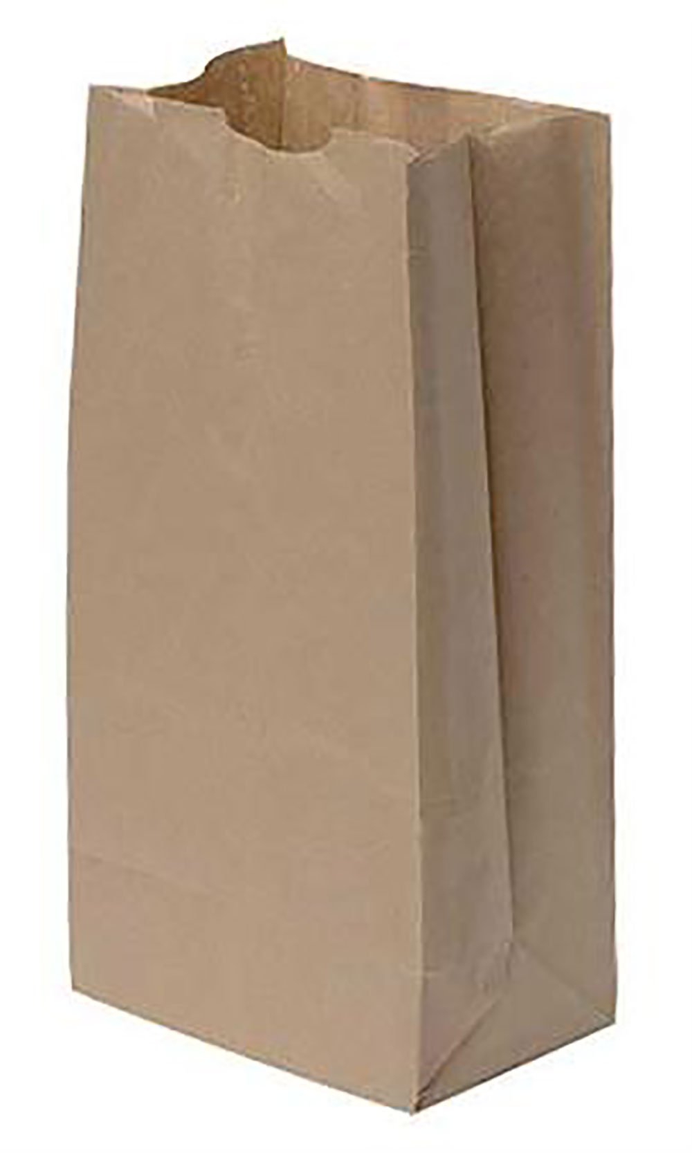 SSWBasics Large Natural Paper Bags - Eco-Friendly Kraft Shopping Bags (Case of 1,000) for Retail Stores, Gift Wrapping & Party Favors
