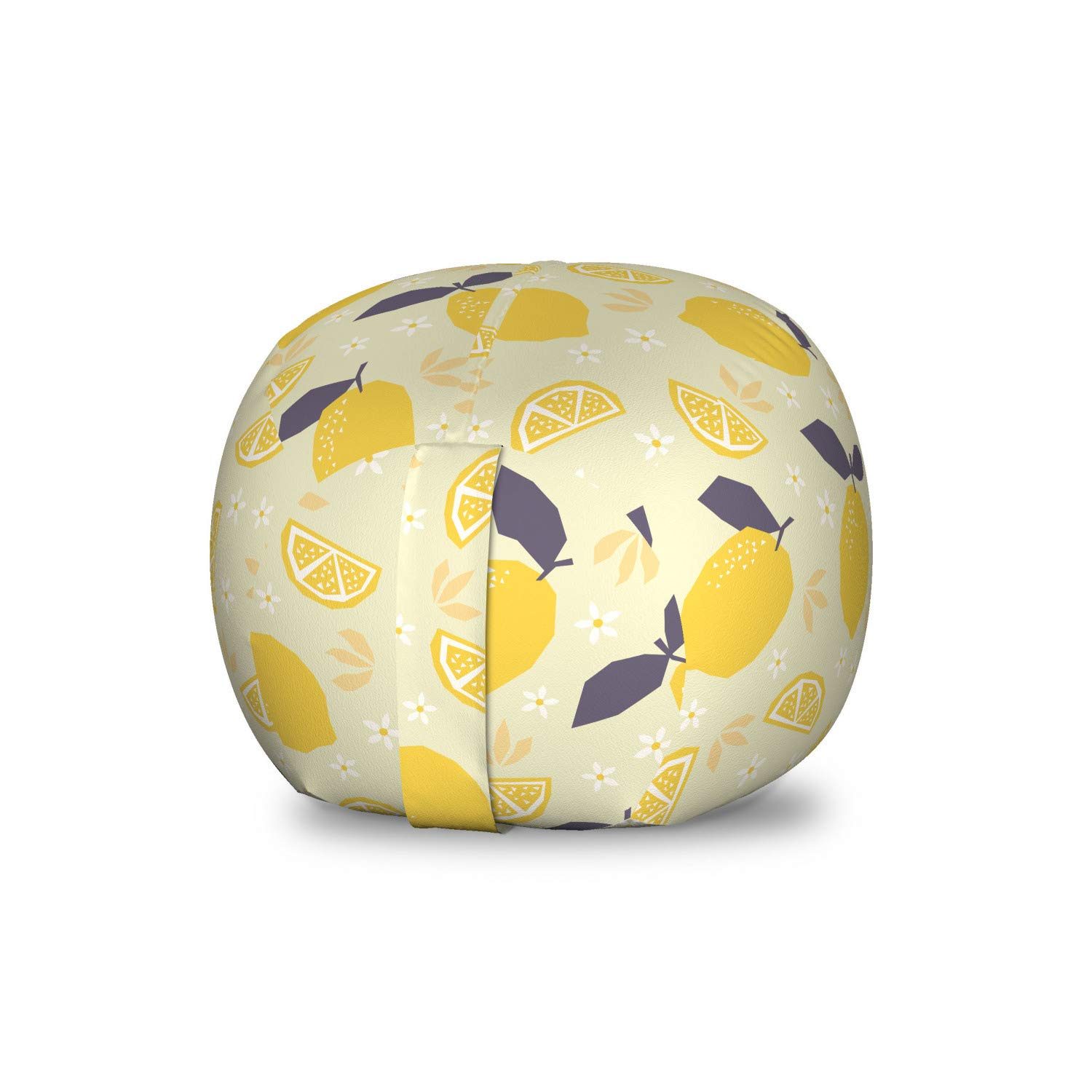 Ambesonne Fruit Art Storage Toy Bag Chair - Lemons & Blossoms Floral Pattern with Whole & Sliced Citrus Summer Design | Stuffed Animal Organizer, Washable Multicolor Small Storage Bag | Perfect for Kids' Room, Playroom & Nursery Organization