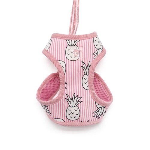 EasyGO Pineapple Pink Dog Harness - Adjustable & Breathable Pet Vest for Small to Medium Dogs - Perfect for Walking, Hiking & Outdoor Adventures