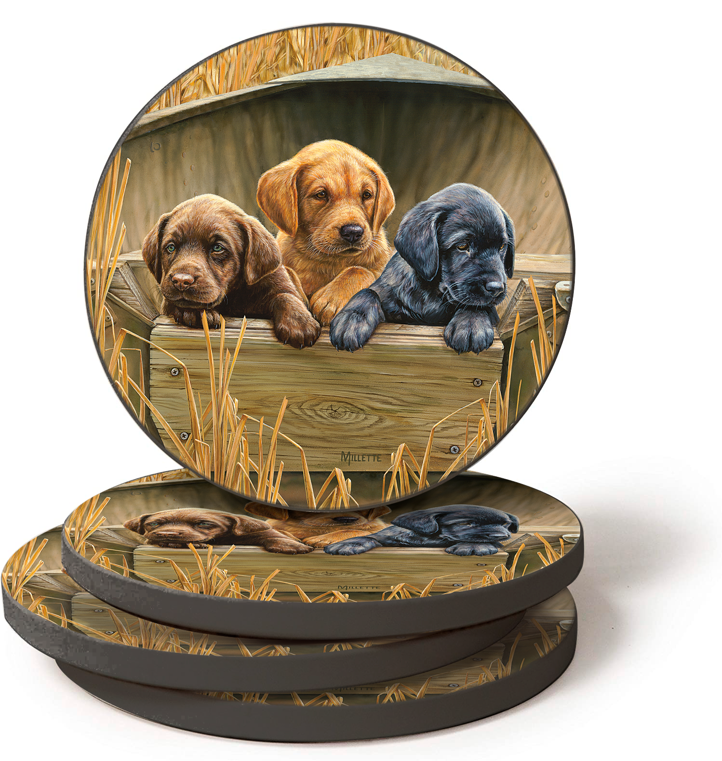 Best Selling CST All Hands on Deck Puppies 4x4 RM - Perfect for Dog Lovers & Off-Road Adventures