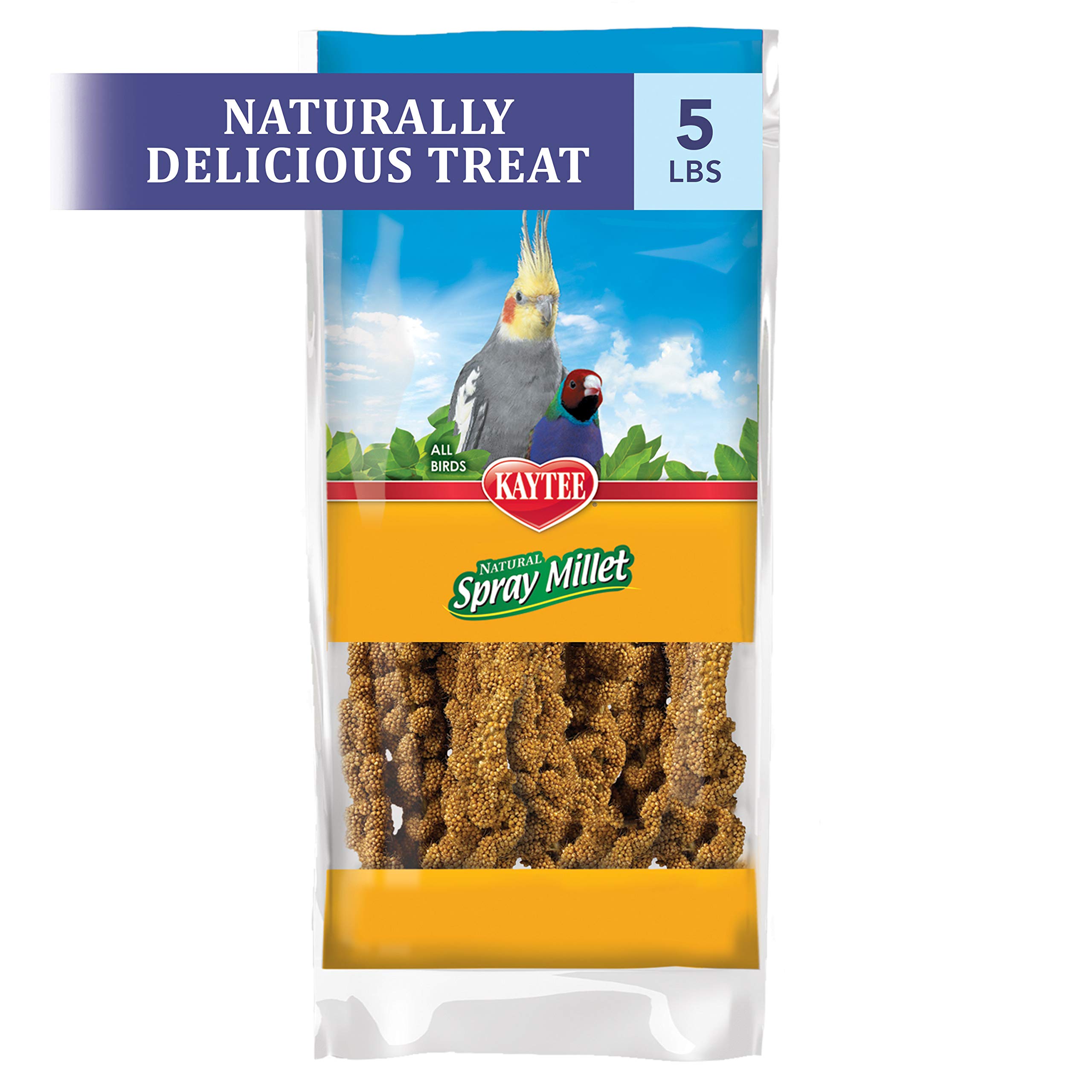 Kaytee Spray Millet Treat for Pet Birds - 5 Pound Bag | Natural & Nutritious Bird Food for Parakeets, Cockatiels, Finches | Perfect for Training, Bonding & Foraging Activities