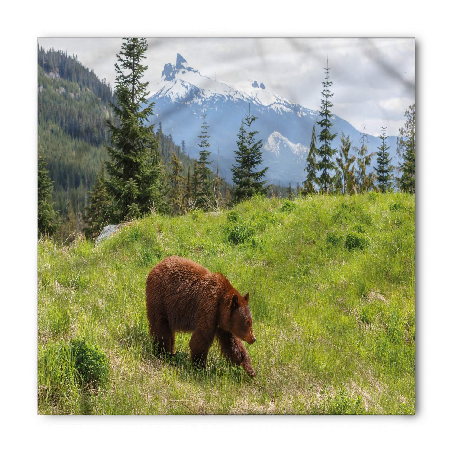 Ambesonne Bear Bandana - Soft Fur Animal Print Scarf for Men & Women - Nature Habitat Design - Unisex Head & Neck Tie for Outdoor Adventures, Hiking, and Wildlife Enthusiasts