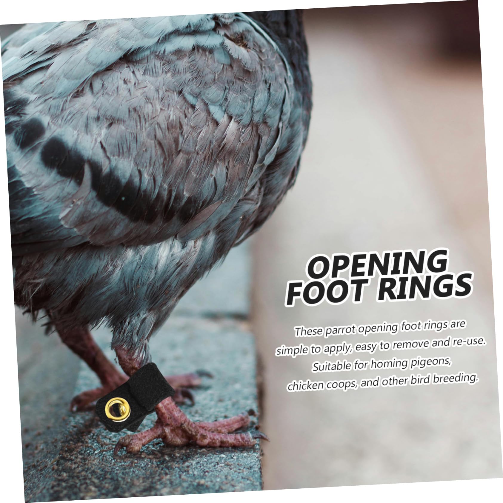 Balacoo 4 Sets Bird Ankle Rings - Adjustable Parrot Leg Bands, Chicken Foot Protectors for Doves, Finches & Pigeons - Suede Snap Button Design for Safe & Comfortable Use in Coops, Aviaries & Veterinary Care