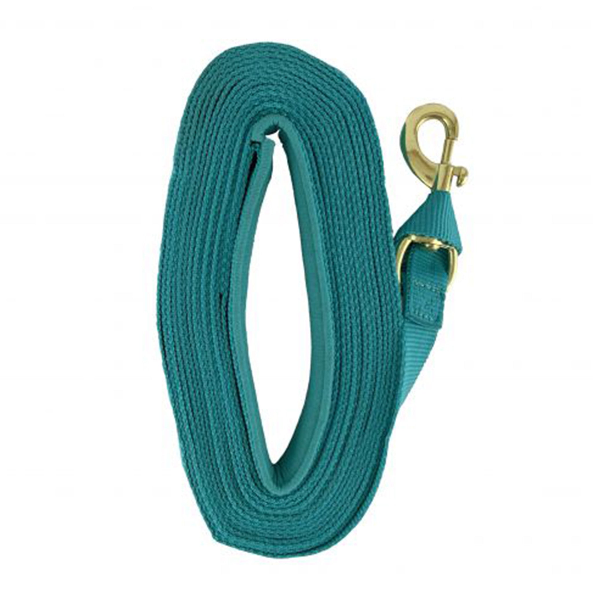 25' Web Lunge Line for Dog Training - Durable Agility Equipment with Adjustable Length - Perfect for Obedience Practice, Backyard Exercises & Canine Sports