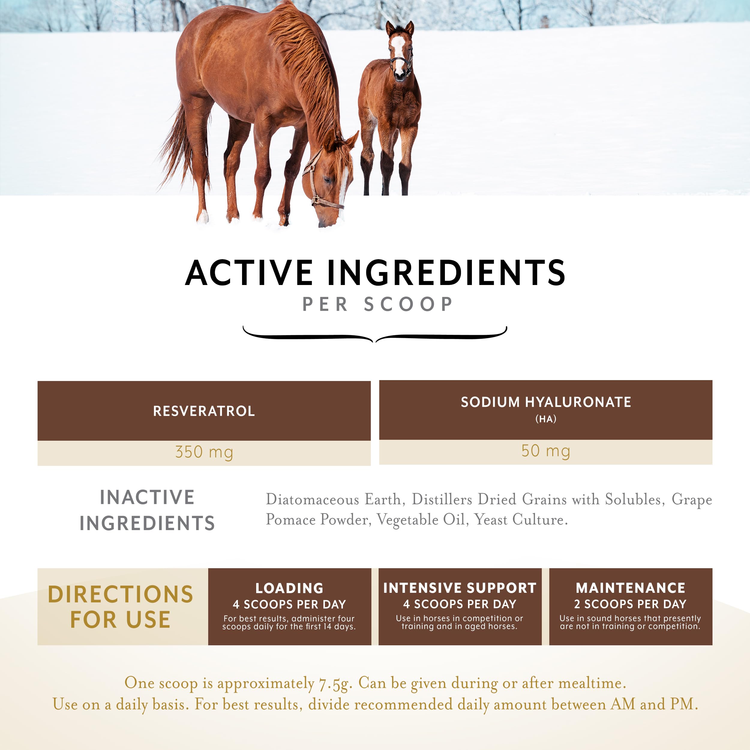Equithrive Original Joint Supplement Powder for Horses - Resveratrol & Hyaluronic Acid Formula - 2 lb Bag - Supports Mobility & Joint Health - Ideal for Performance Horses & Senior Equine Care