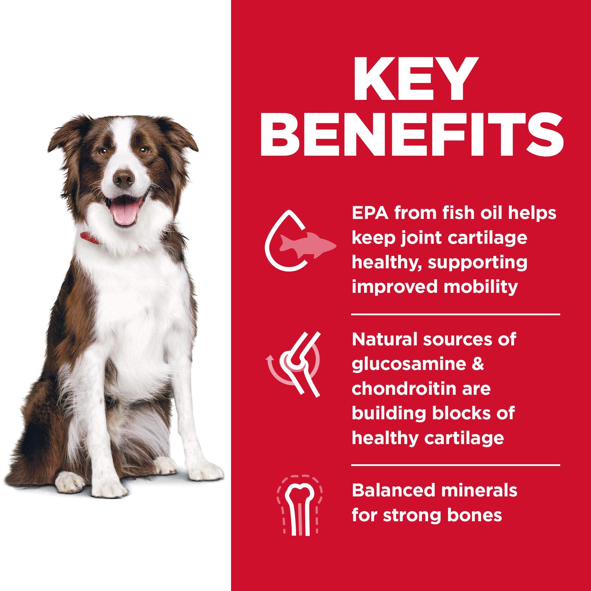 Hill's Science Diet Healthy Mobility Large Breed Dry Dog Food - Chicken, Brown Rice & Barley Recipe for Joint Support (30 lb Bag) | Ideal for Active Adult Dogs 1-5 Years Old