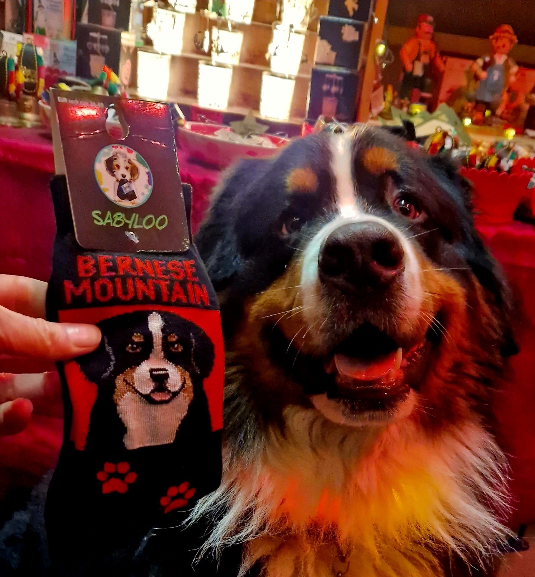 Bernese Pop Art Socks - Fun Colorful Dog Pattern Novelty Socks for Men & Women - Perfect Gift for Pet Lovers, Casual Wear & Cosplay Accessories