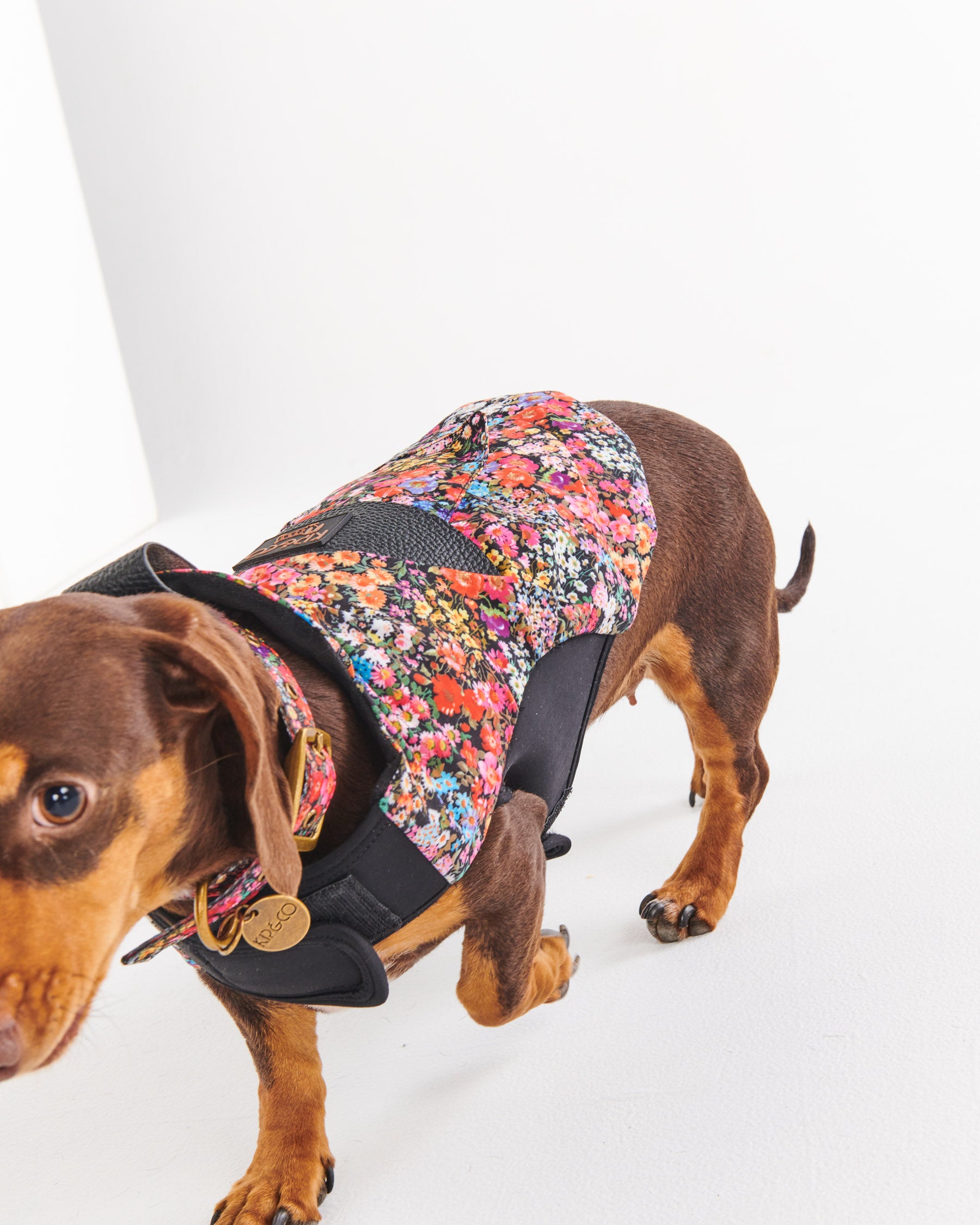 Forever Floral Black Dog Jacket - Waterproof & Stylish Pet Coat for Small to Medium Dogs - Perfect for Outdoor Walks, Winter Protection & Fashionable Pet Apparel